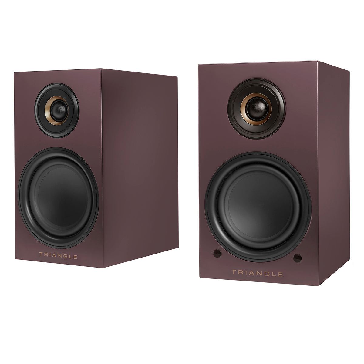 triangle-enceinte-hifi-connectee-LN01A-bluetooth-aubergine-1